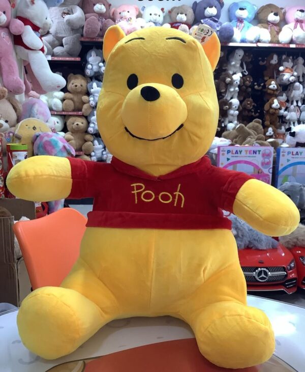 Winnie the Pooh – 50 cm